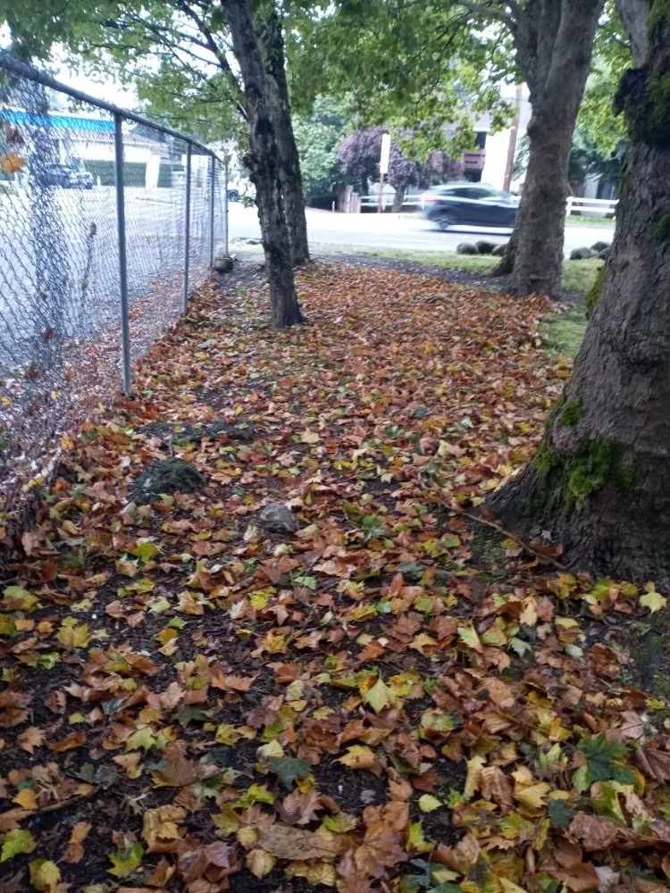 Reliable landscape design for homes in Vancouver, WA by Piedras Landscaping Services