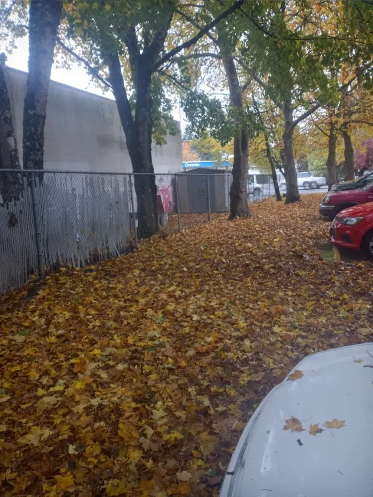 Affordable lawn care service experts serving Vancouver, WA - Piedras Landscaping Services