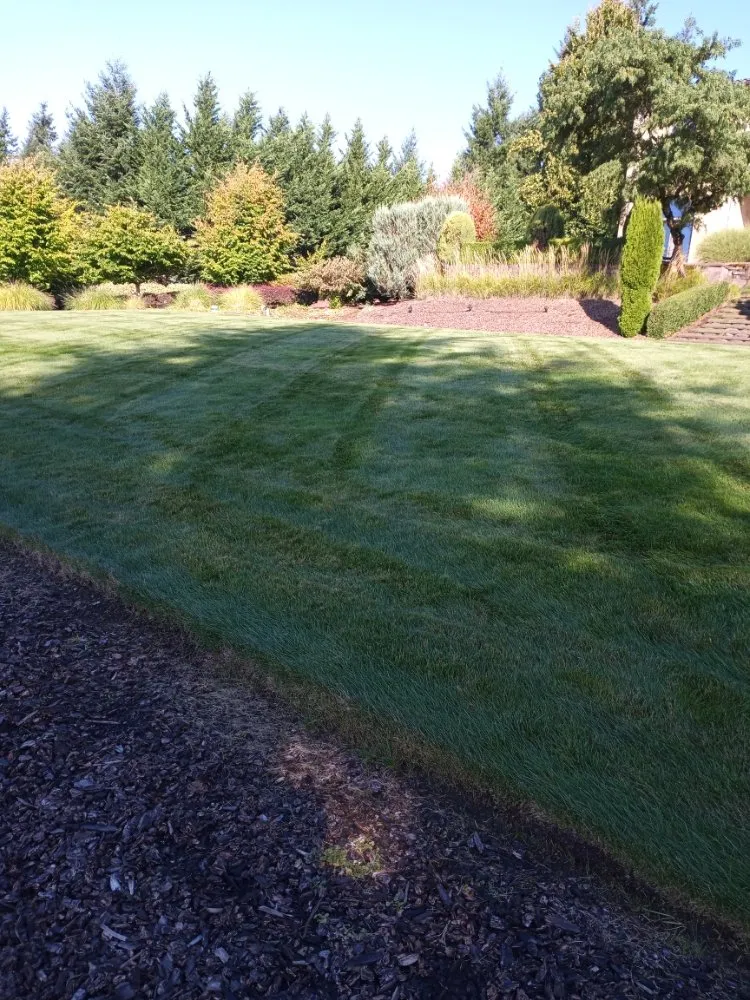 Reliable yard maintenance in Vancouver, WA - Piedras Landscaping Services