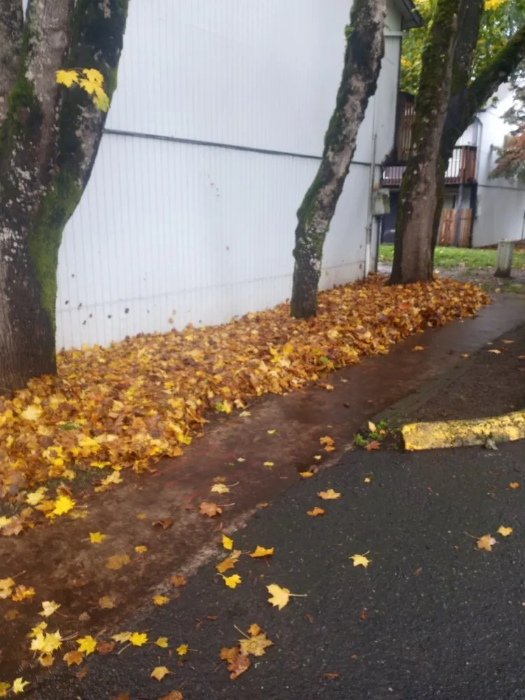 Reliable lawn care service experts serving Vancouver, WA - Piedras Landscaping Services