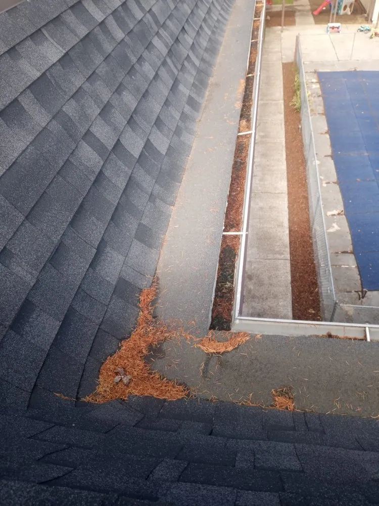 Affordable garden landscaping in Vancouver, WA by Piedras Landscaping Services