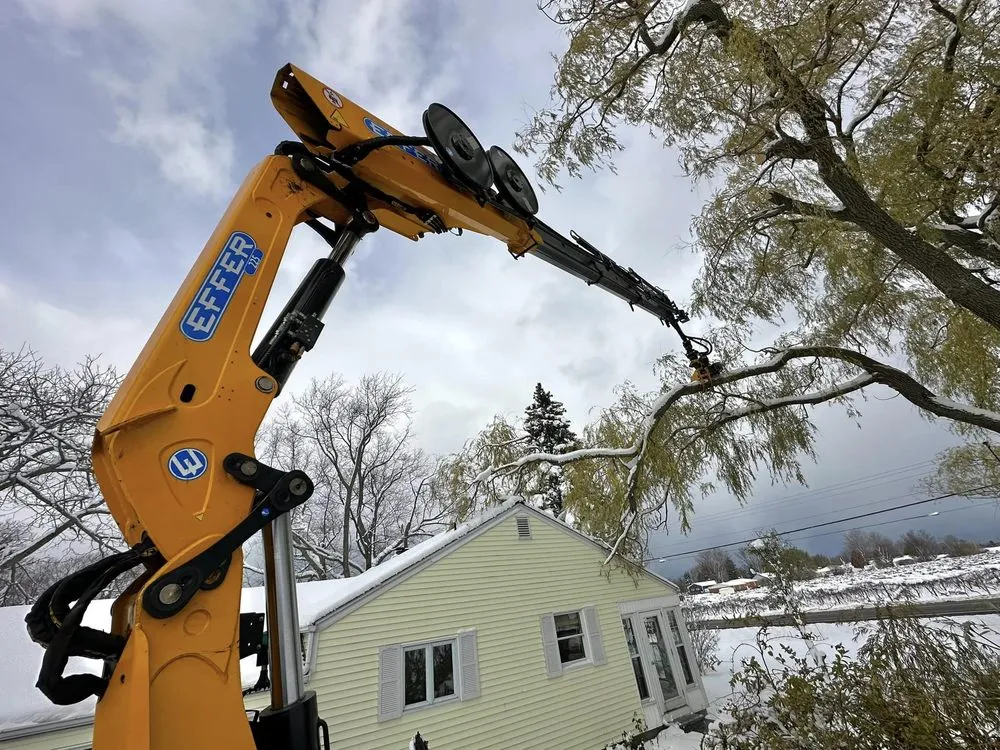 Professional outdoor landscaping in West Falls, NY - Pierce & Co. Tree Services