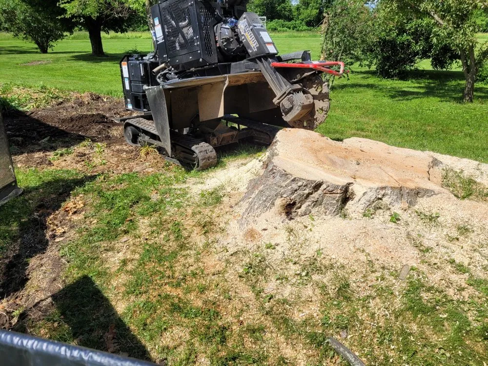 Trusted residential landscaping with custom design in West Falls, NY by Pierce & Co. Tree Services