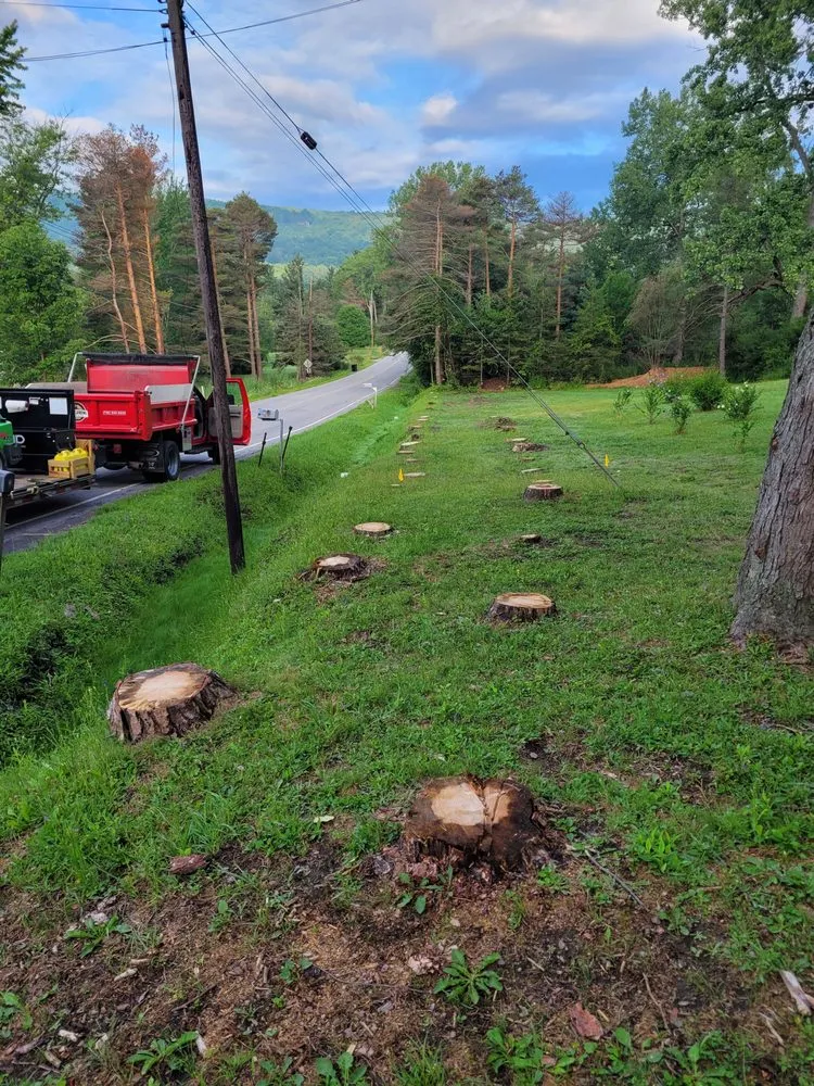 Local lawn care service in West Falls, NY - Pierce & Co. Tree Services