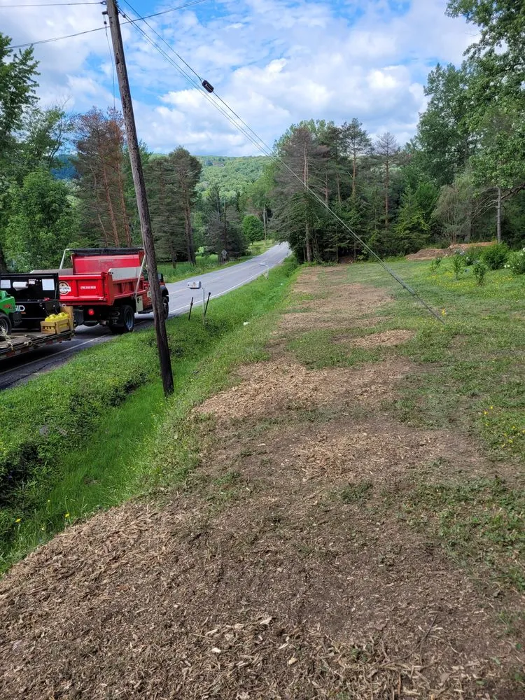 Top-rated yard cleanup service for year-round maintenance across West Falls, NY - Pierce & Co. Tree Services