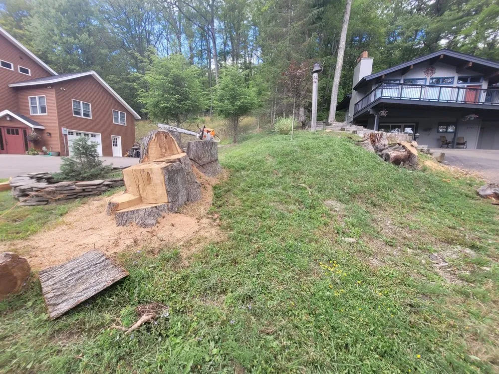 Expert garden landscaping in West Falls, NY by Pierce & Co. Tree Services
