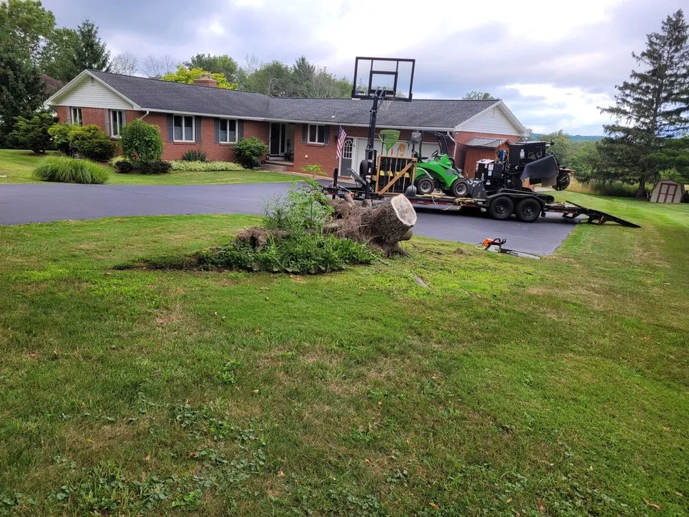 Trusted landscape design in West Falls, NY by Pierce & Co. Tree Services