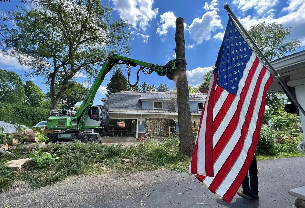 Reliable residential landscaping for homes in West Falls, NY by Pierce & Co. Tree Services