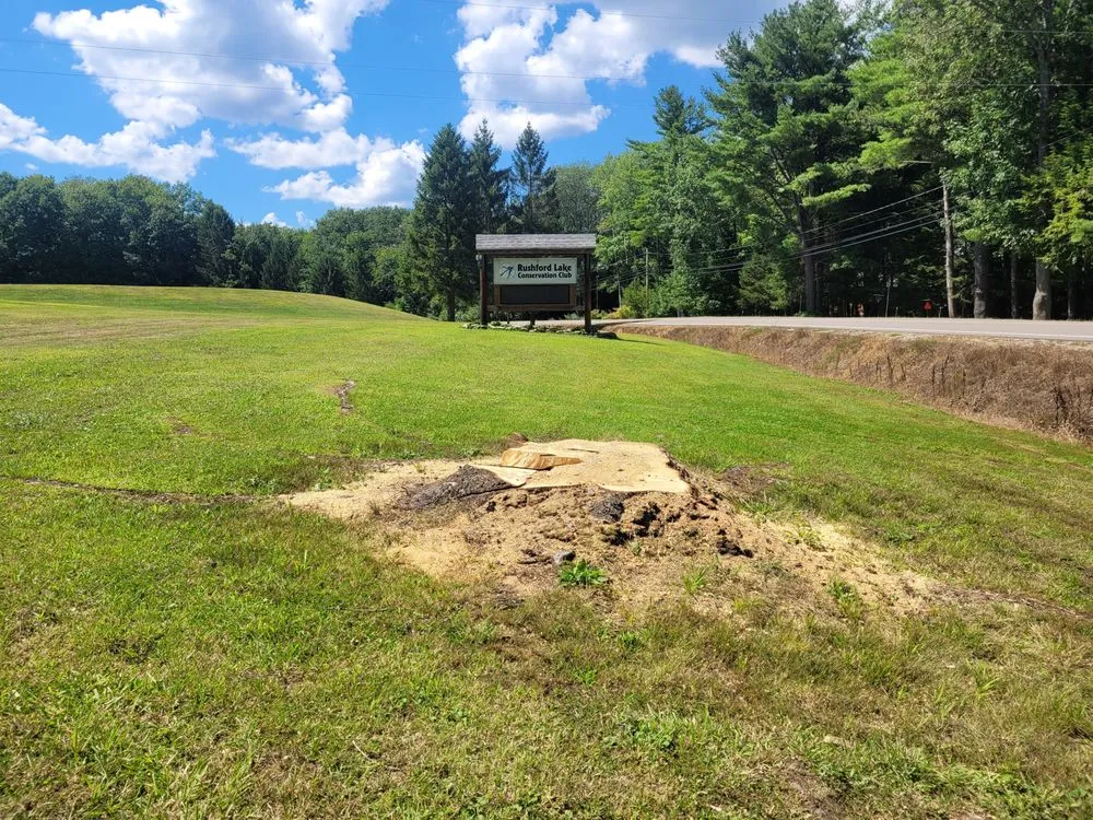 Local lawn care service with custom design in West Falls, NY by Pierce & Co. Tree Services