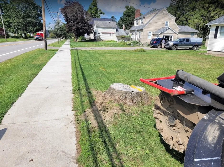 Expert lawn mowing service experts serving West Falls, NY - Pierce & Co. Tree Services