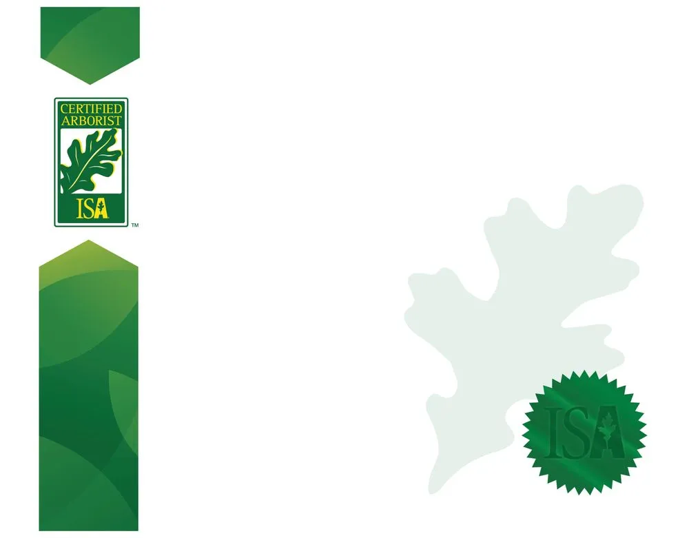 Reliable garden landscaping in West Falls, NY - Pierce & Co. Tree Services