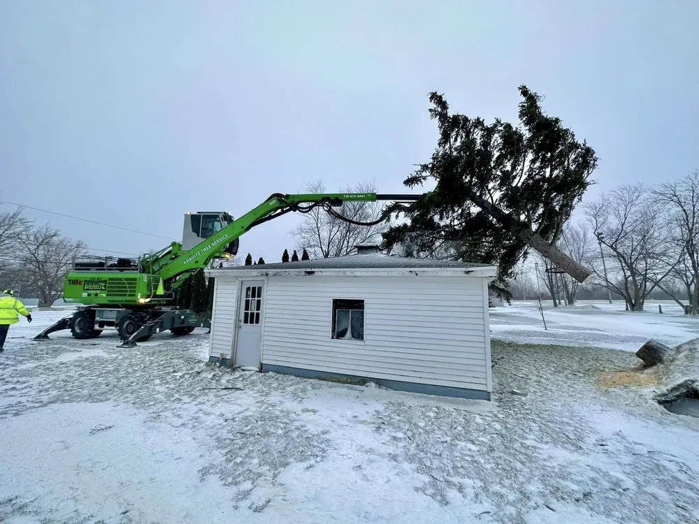 Custom garden landscaping experts serving West Falls, NY - Pierce & Co. Tree Services