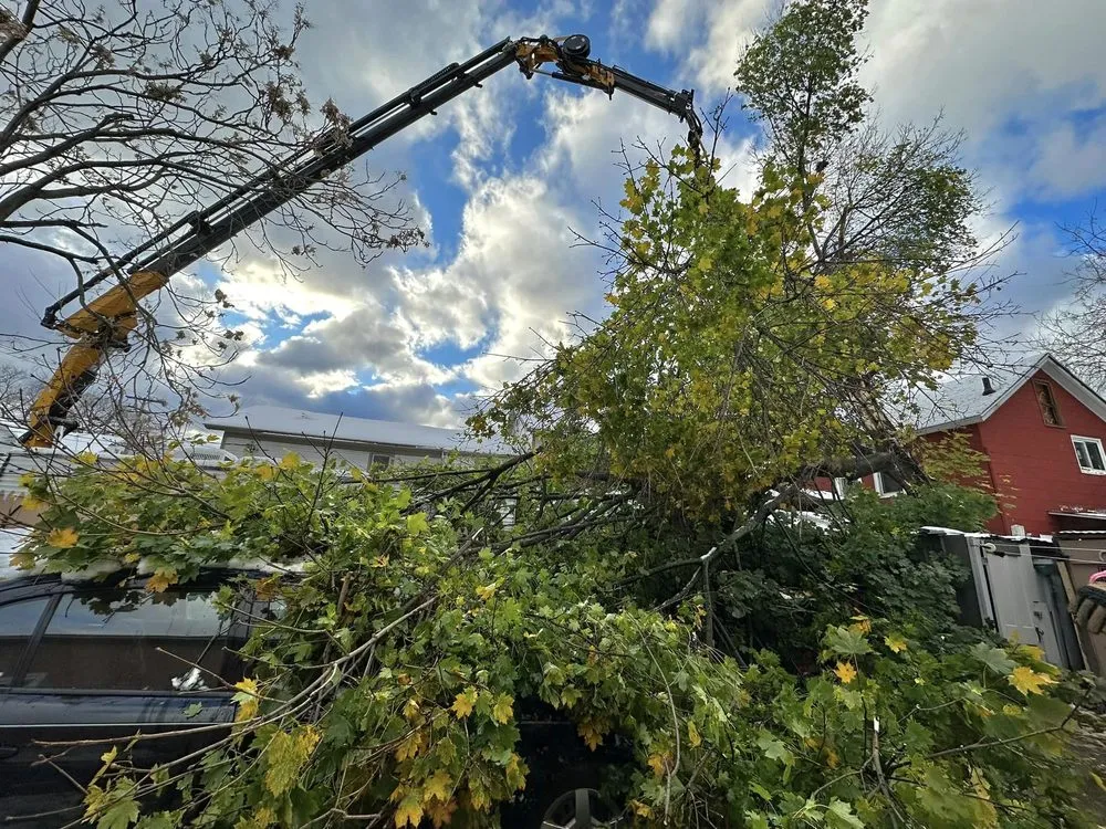Custom outdoor landscaping in West Falls, NY - Pierce & Co. Tree Services