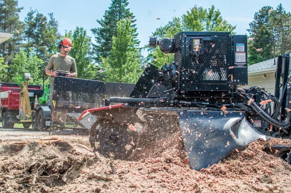 Reliable outdoor landscaping near you across West Falls, NY - Pierce & Co. Tree Services