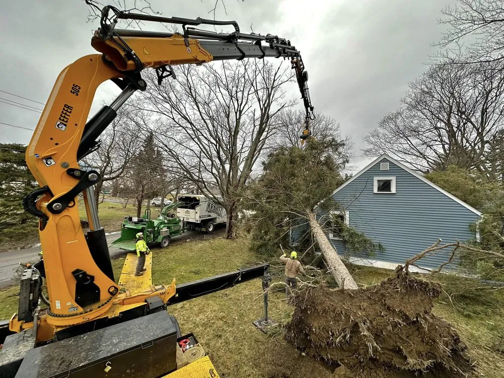 Top-rated yard maintenance for outdoor upgrades in West Falls, NY by Pierce & Co. Tree Services