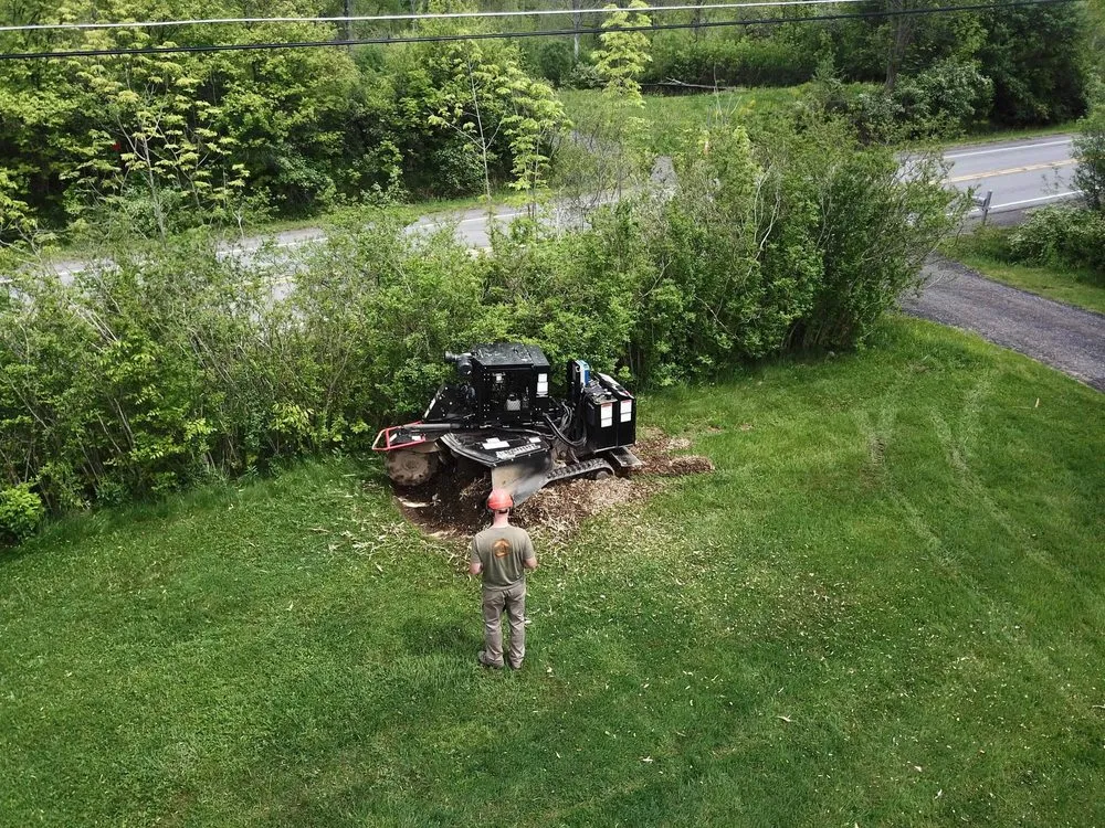 Affordable yard maintenance experts serving West Falls, NY - Pierce & Co. Tree Services