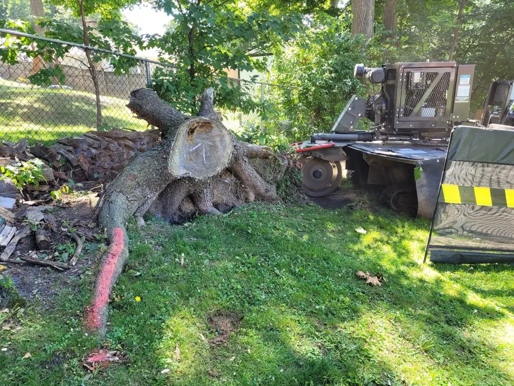 Professional garden landscaping in West Falls, NY by Pierce & Co. Tree Services