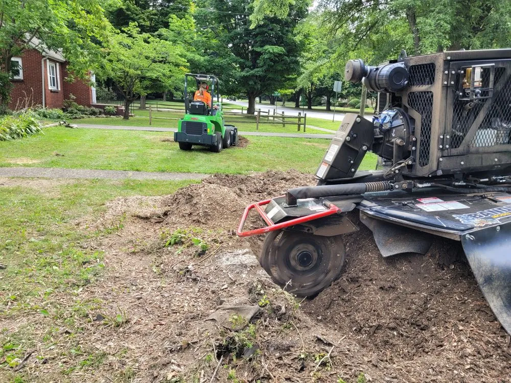 Local landscape installation for homes across West Falls, NY - Pierce & Co. Tree Services