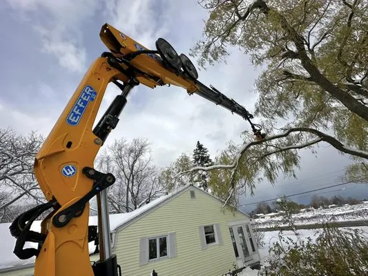 Pierce & Co. Tree Services
