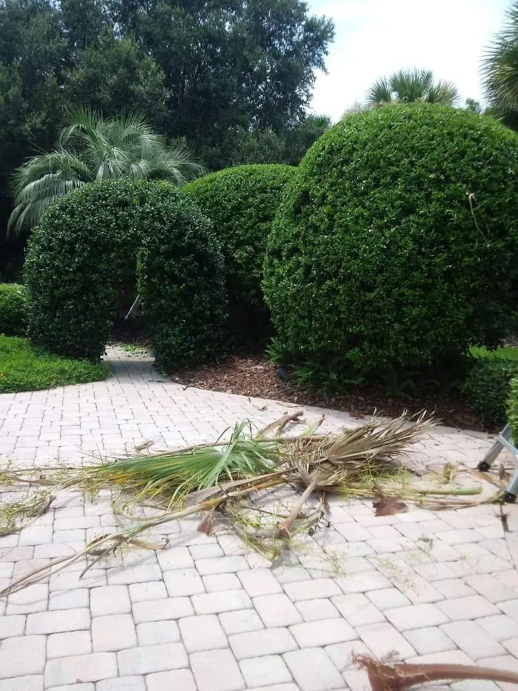 Expert lawn mowing service experts serving The Villages, FL - Pierce Brothers Outdoor Services