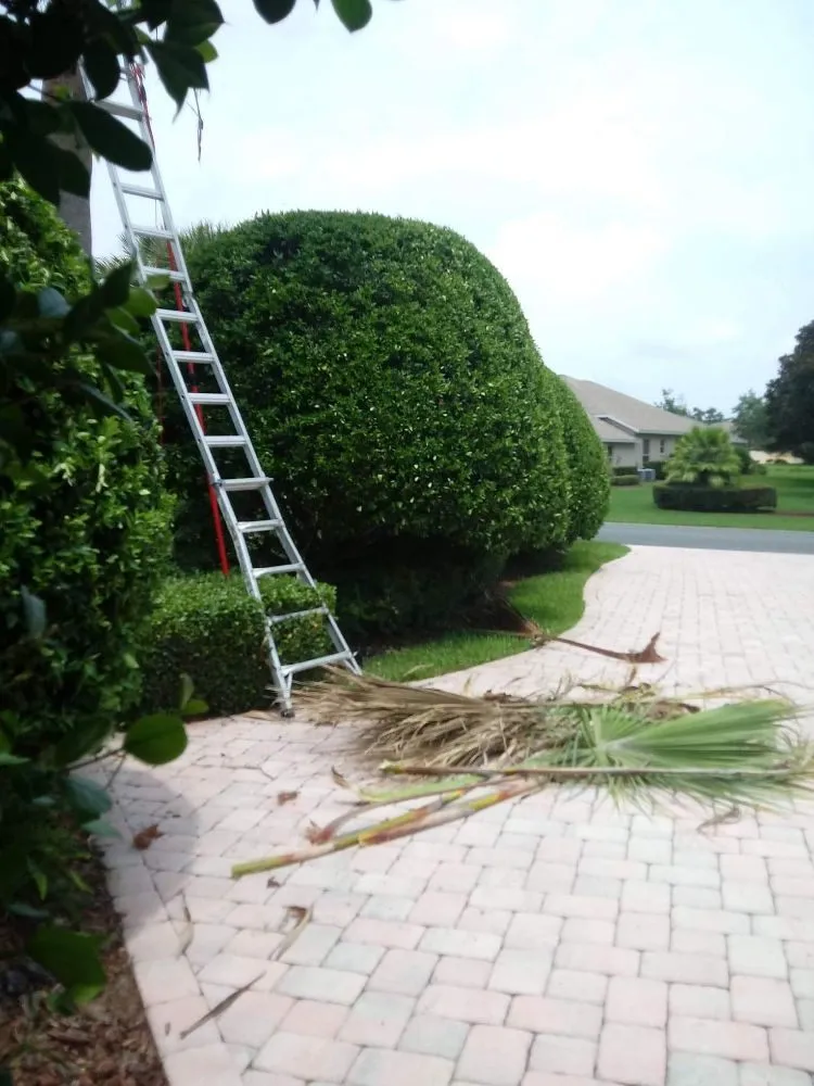 Top-rated lawn care service experts serving The Villages, FL - Pierce Brothers Outdoor Services