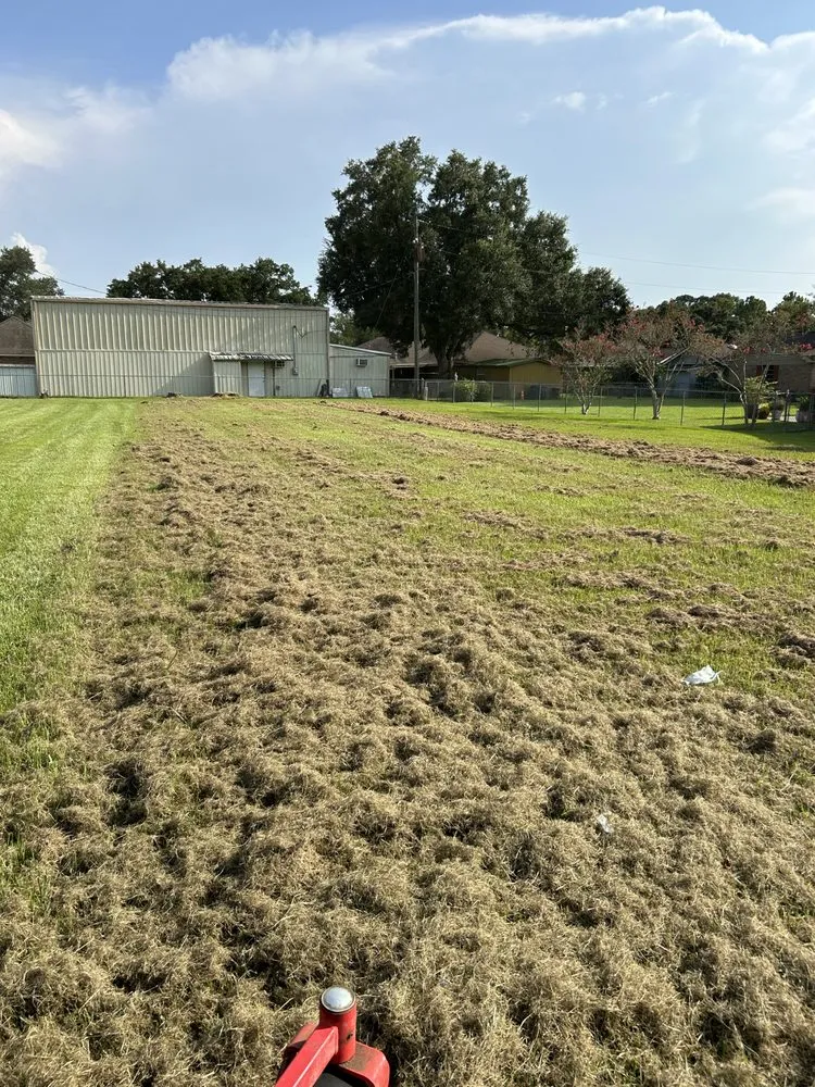 Trusted lawn care service in Lafayette, LA by Pierce Commercial