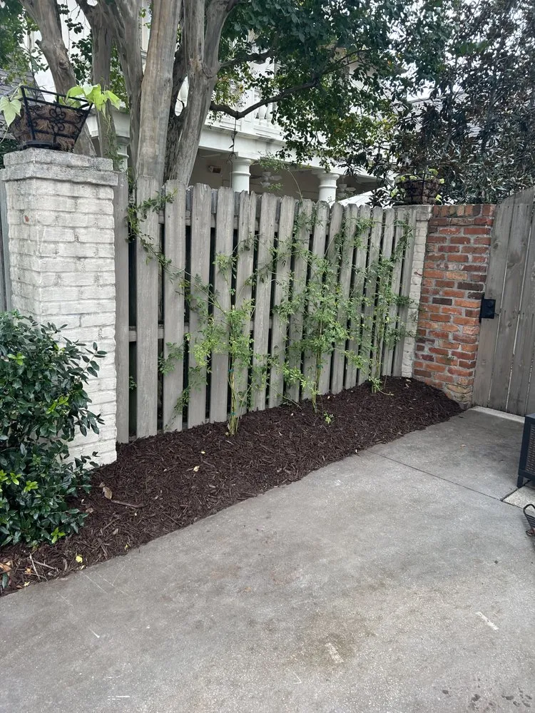 Local landscaping services for year-round maintenance across Lafayette, LA - Pierce Commercial