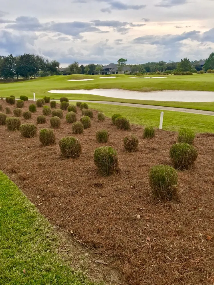 Reliable garden landscaping for beautiful yards across Ormond Beach, FL - Pierce Landscape & Maintenance