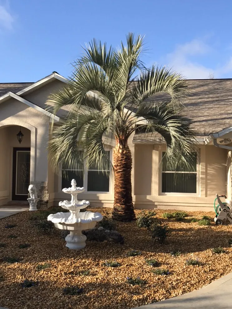 Trusted landscaping services experts serving Ormond Beach, FL - Pierce Landscape & Maintenance