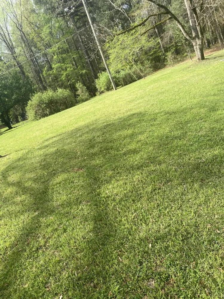 Expert residential landscaping for outdoor upgrades in Meridian, MS by Pierce Landscaping