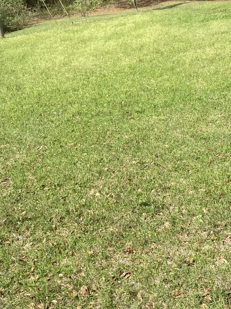 Expert residential landscaping experts serving Meridian, MS - Pierce Landscaping