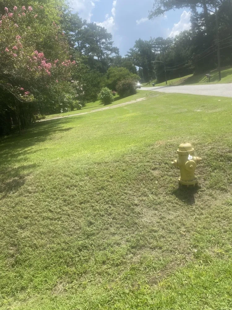 Custom lawn care service for year-round maintenance across Meridian, MS - Pierce Landscaping