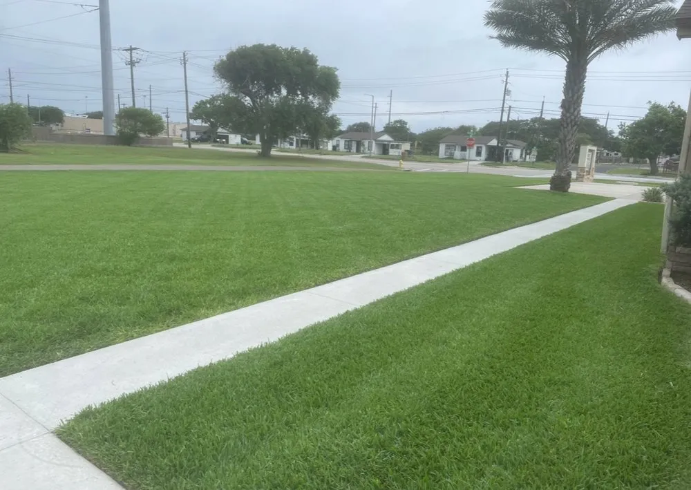 Top-rated yard cleanup service for residential properties across Corpus Christi, TX - Pierce Renovations