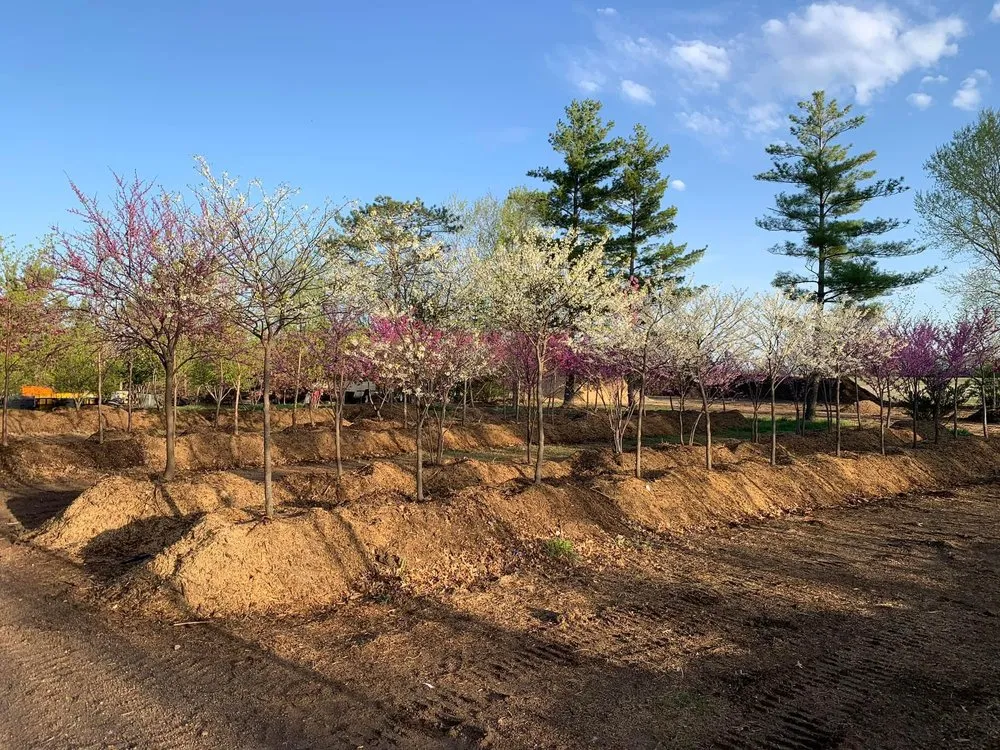 Custom yard cleanup service near you across Valley Center, KS - Pierpoint Tree Farm