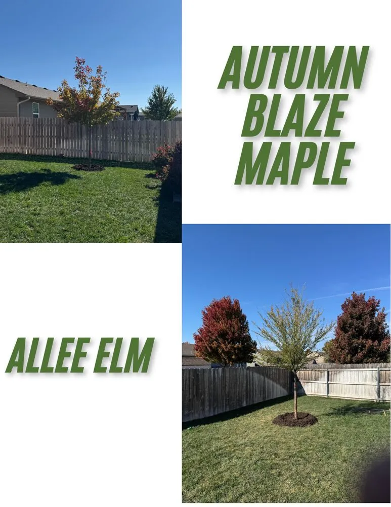 Affordable yard maintenance in Valley Center, KS by Pierpoint Tree Farm