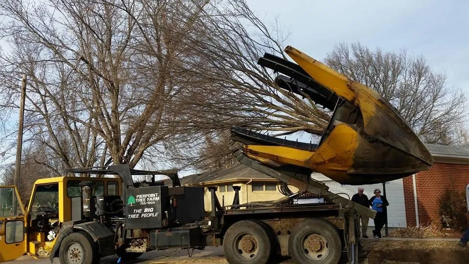 Professional residential landscaping in Valley Center, KS - Pierpoint Tree Farm