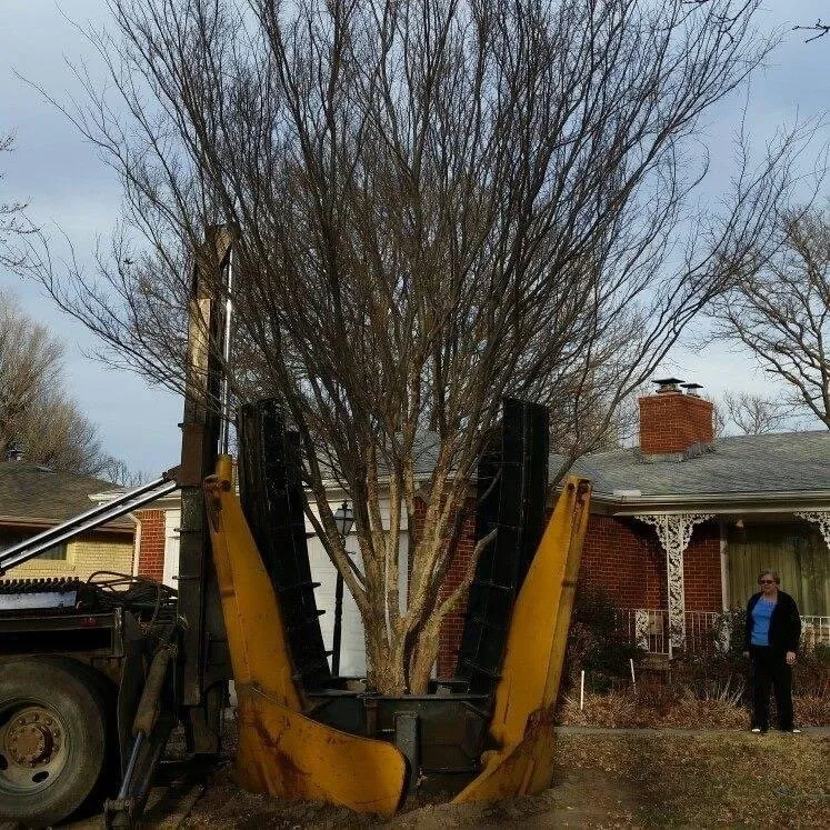 Local landscape design in Valley Center, KS by Pierpoint Tree Farm