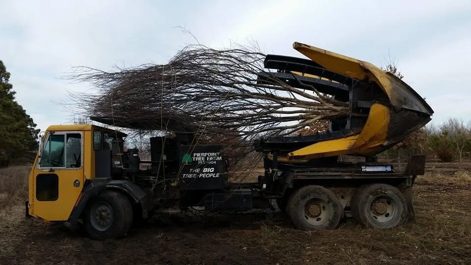 Affordable lawn mowing service experts serving Valley Center, KS - Pierpoint Tree Farm