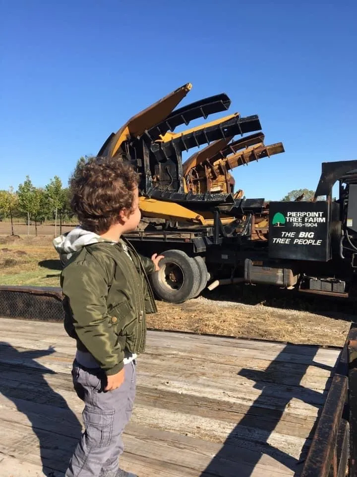 Professional outdoor landscaping for residential properties across Valley Center, KS - Pierpoint Tree Farm