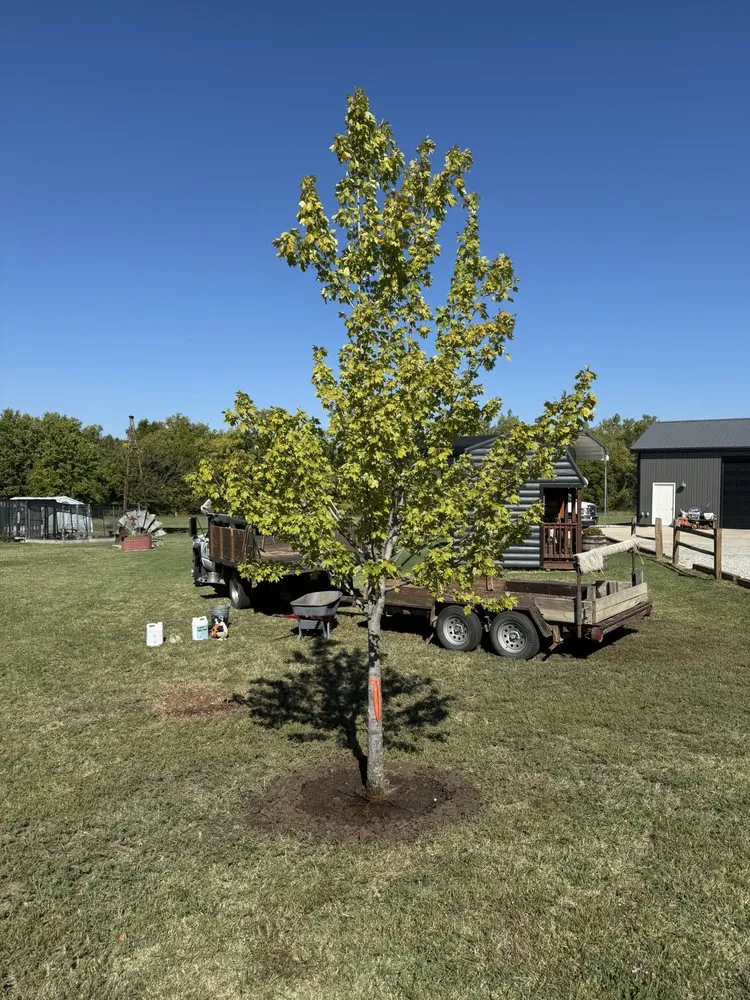 Custom landscaping services near you across Valley Center, KS - Pierpoint Tree Farm