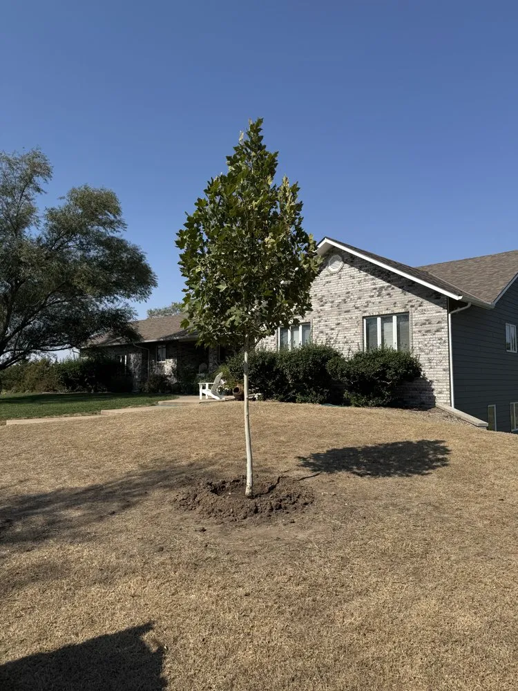 Custom lawn mowing service in Valley Center, KS by Pierpoint Tree Farm