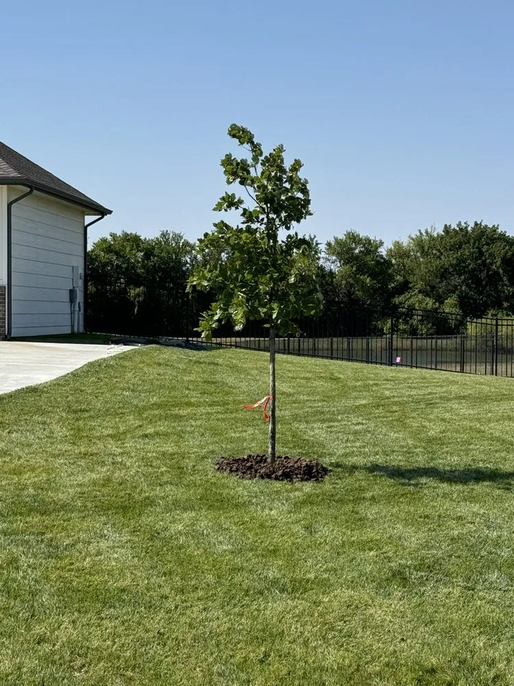 Reliable landscaping services experts serving Valley Center, KS - Pierpoint Tree Farm