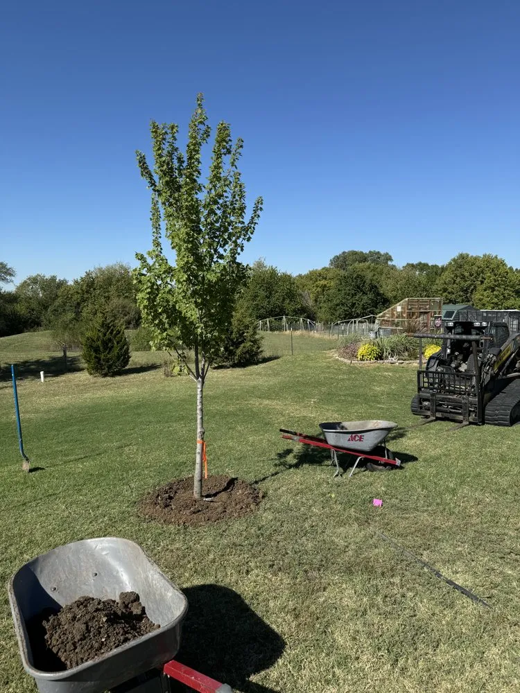 Top-rated lawn mowing service for residential properties across Valley Center, KS - Pierpoint Tree Farm