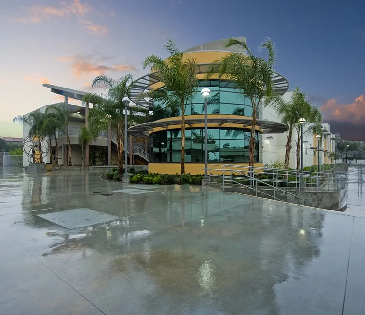 Local lawn care service in Irwindale, CA by Pierre Landscape