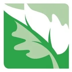 Top-rated yard maintenance experts serving Irwindale, CA - Pierre Landscape