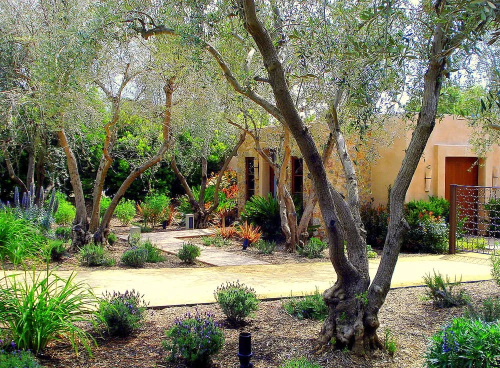 Top-rated garden landscaping for outdoor upgrades across Irwindale, CA - Pierre Landscape