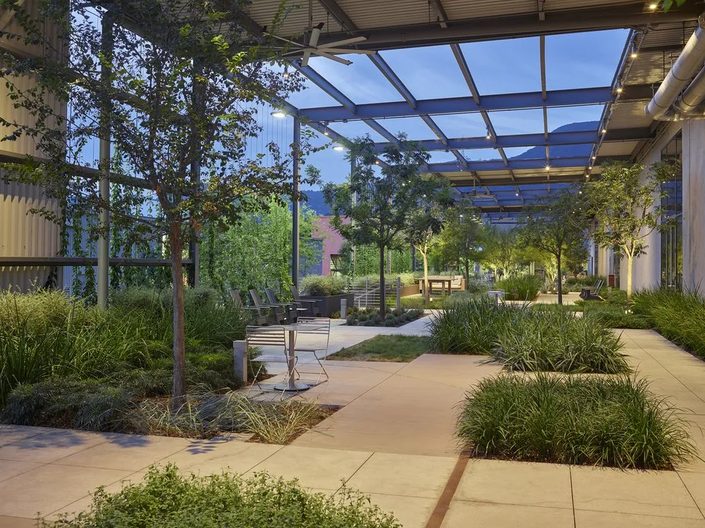 Local yard maintenance experts serving Irwindale, CA - Pierre Landscape