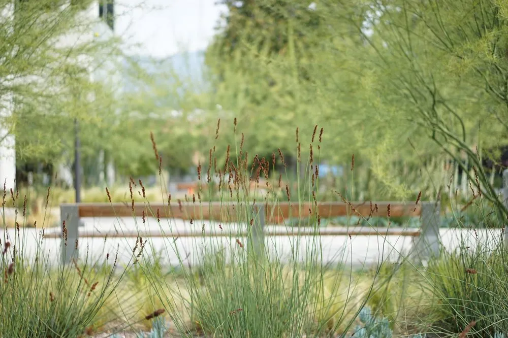 Reliable yard maintenance experts serving Irwindale, CA - Pierre Landscape