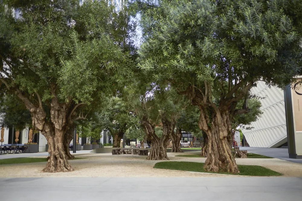 Custom landscape design in Irwindale, CA - Pierre Landscape