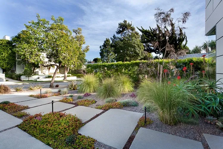 Trusted outdoor landscaping for year-round maintenance in Irwindale, CA by Pierre Landscape
